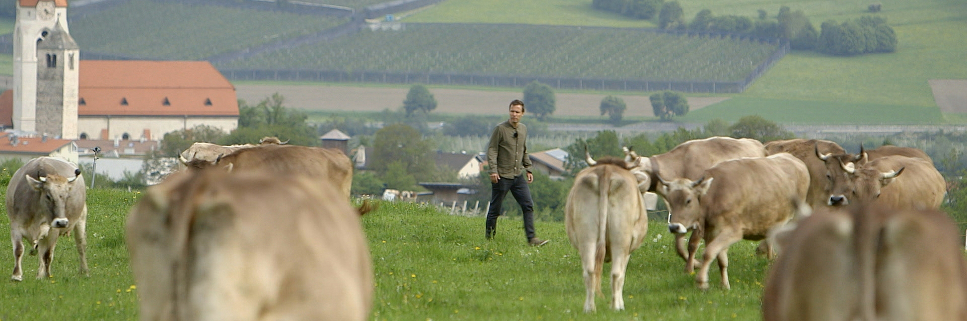 „Das System Milch“ (ARTE/RBB)